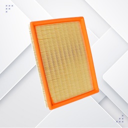 [24512521/AIF11857] FILTRO DE AIRE